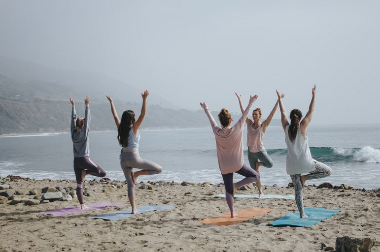 yogis